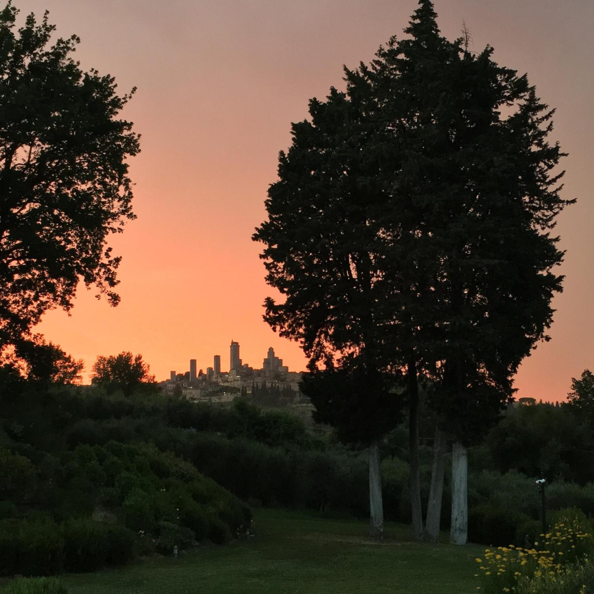 Tenuta Guardastelle - Agriturismo And Vineyard San Gimignano Eksteriør bilde